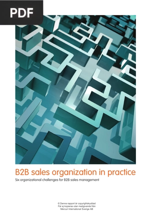 B2B sales organization in practice