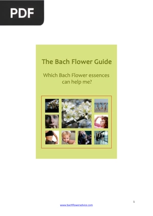 Bach Flower Guide