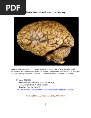 Basic Functional Neuroanatomy