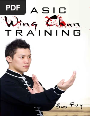 Basic Wing Chun Training