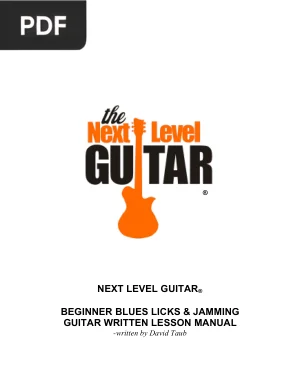 Beginner Blues Licks and Jamming Manual