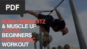 Beginner Calisthenic Workout