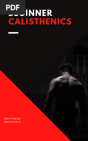 Beginner Calisthenics