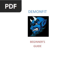 Beginners Guide