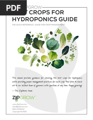 Best Crops for Hydroponics Guide