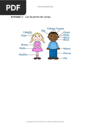 Body Parts in Spanish Kids