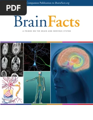 Brain Facts: A Primer on the Brain and Nervous System