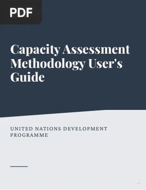 Capacity Assessment Methodology User's Guide