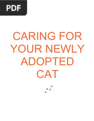Caring for your Newly Adopted Cat