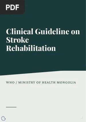 Clinical Guideline on Stroke Rehabilitation