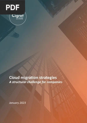 Cloud migration strategies - A structural challenge for companies