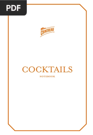 Cocktails Notebook
