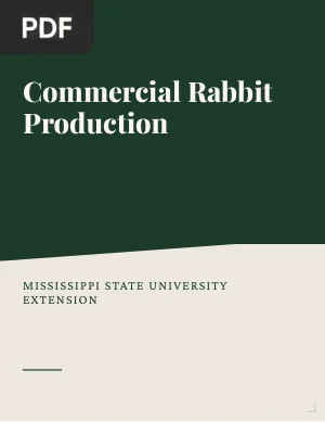 Commercial Rabbit Production