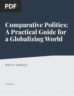 Comparative Politics: A Practical Guide for a Globalizing World