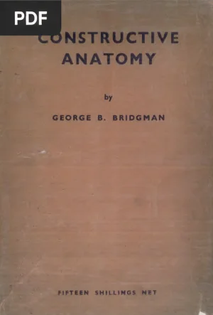 Constructive Anatomy