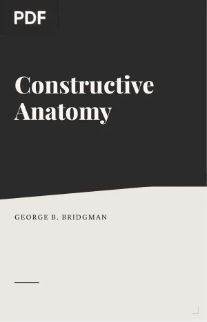 Constructive Anatomy