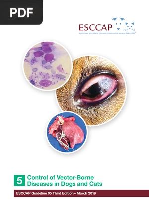 Control of Vector-Borne Diseases in Dogs and Cats