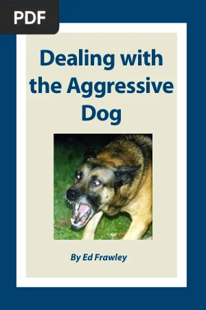 Dealing with the Aggressive Dog