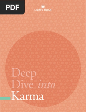 Deep Dive into Karma