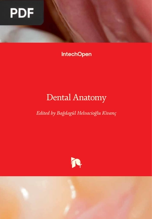 Dental Anatomy