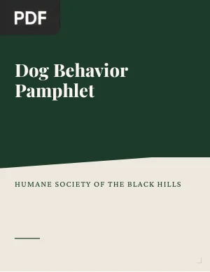 Dog Behavior Pamphlet
