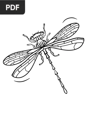 Dragonfly Coloring Page
