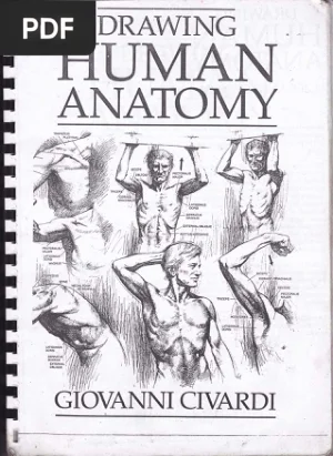 Drawing Human Anatomy