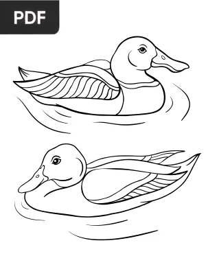 Duck Coloring Page