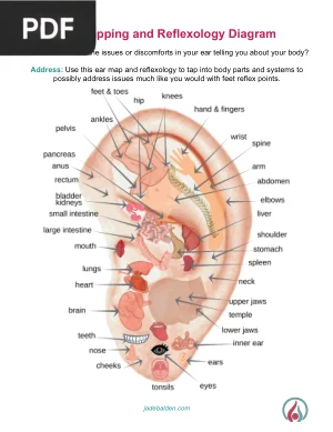 Ear Mapping and Reflexology Diagram