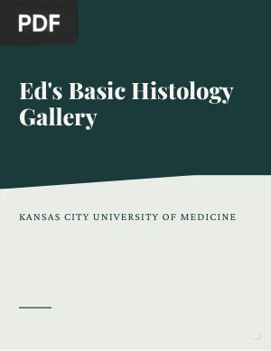 Ed's Basic Histology Gallery