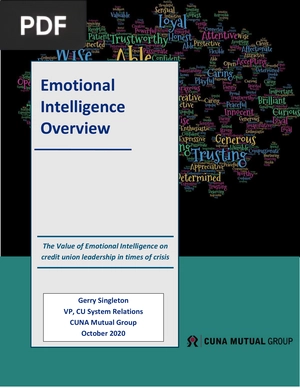 Emotional Intelligence Overview