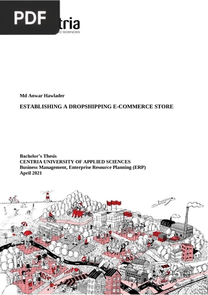 Establishing a Dropshipping E-Commerce Store