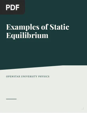 Examples of Static Equilibrium