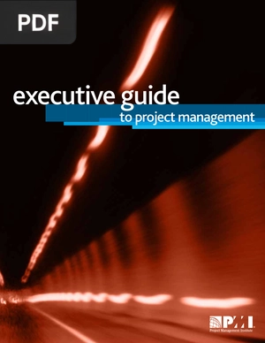 Executive guide to project management