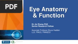 Eye Anatomy and Function