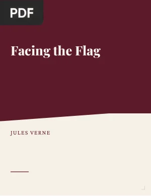 Facing the Flag