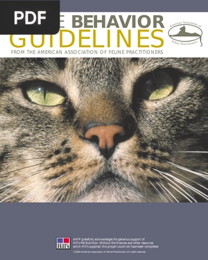 Feline Behavior Guidelines