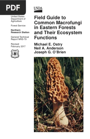 Field Guide to Common Macrofungi in Eastern Forests and Their Ecosystem Functions