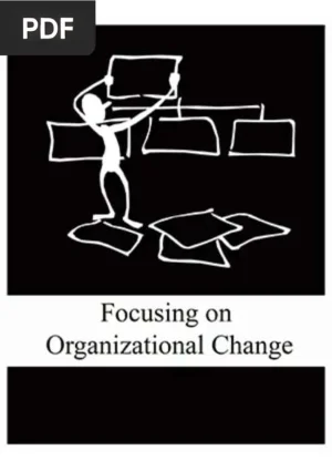 Focusing on Organizational Change