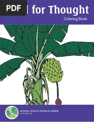 Food for Thought Coloring Book