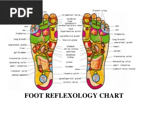 Foot Reflexology Chart