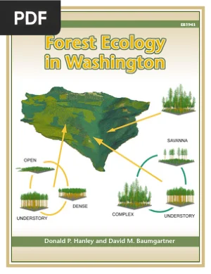 Forest Ecology in Washington