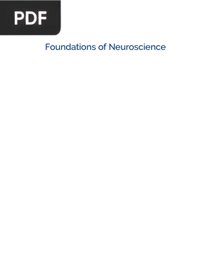 Foundations of Neuroscience