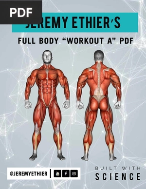 Full Body Workout A