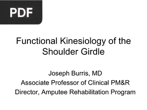 Functional Kinesiology of the Shoulder Girdle