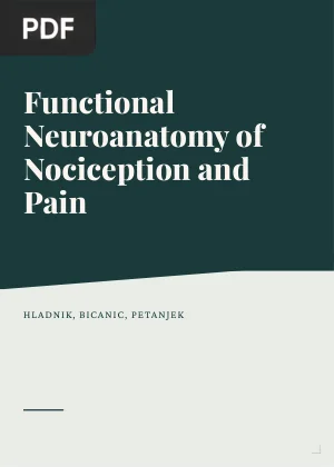 Functional Neuroanatomy of Nociception and Pain