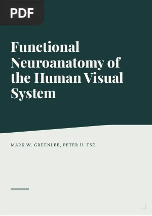 Functional Neuroanatomy of the Human Visual System: A Review of Functional MRI Studies
