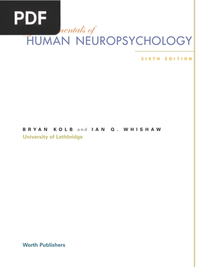 Fundamentals of Human Neuropsychology