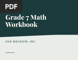 Grade 7 Math Workbook