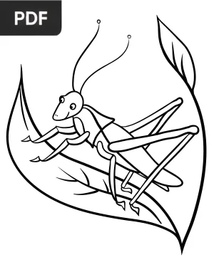 Grasshopper Coloring Page